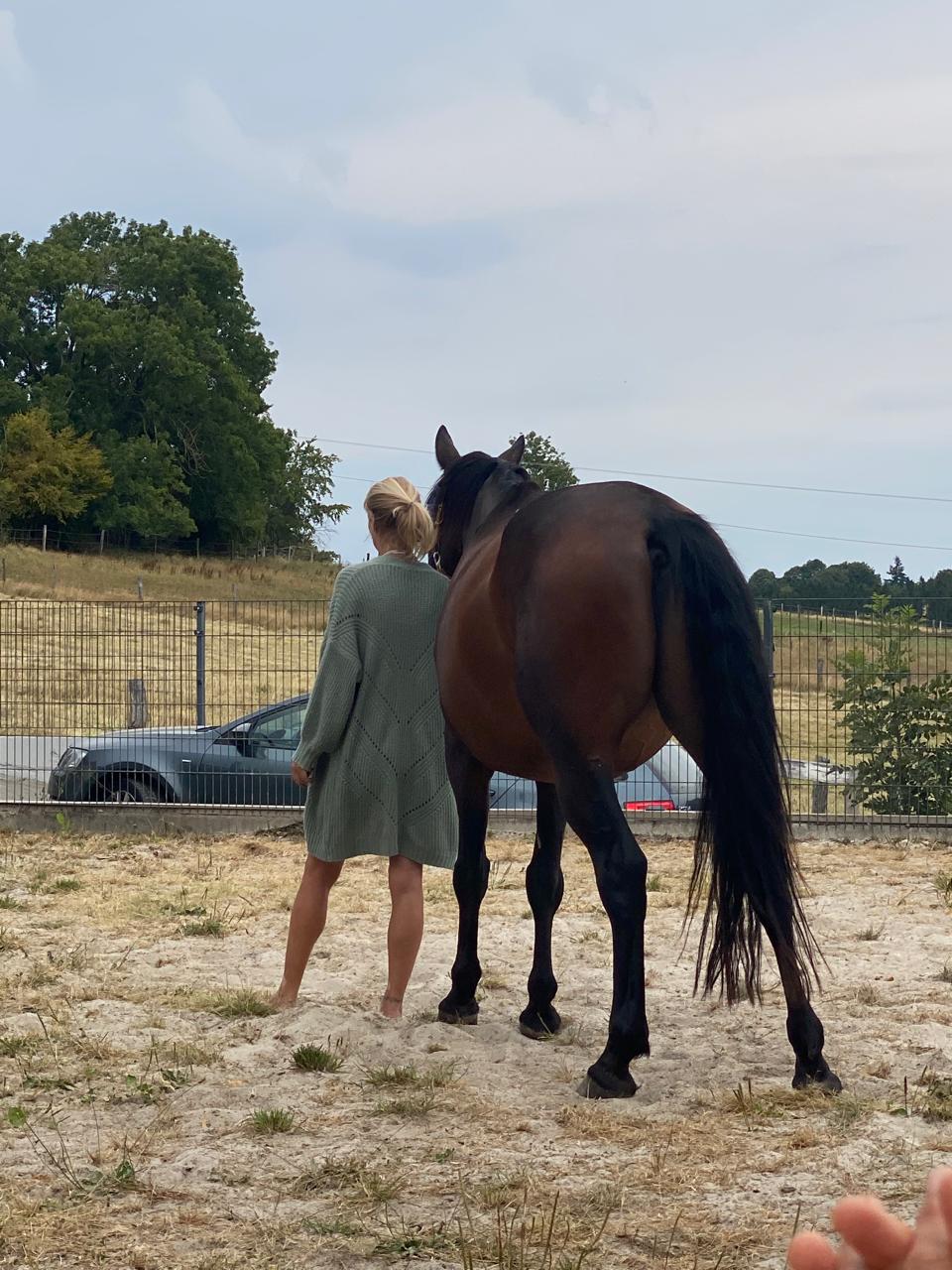 Sabrina geht ruhig an der Seite eines Pferdes
